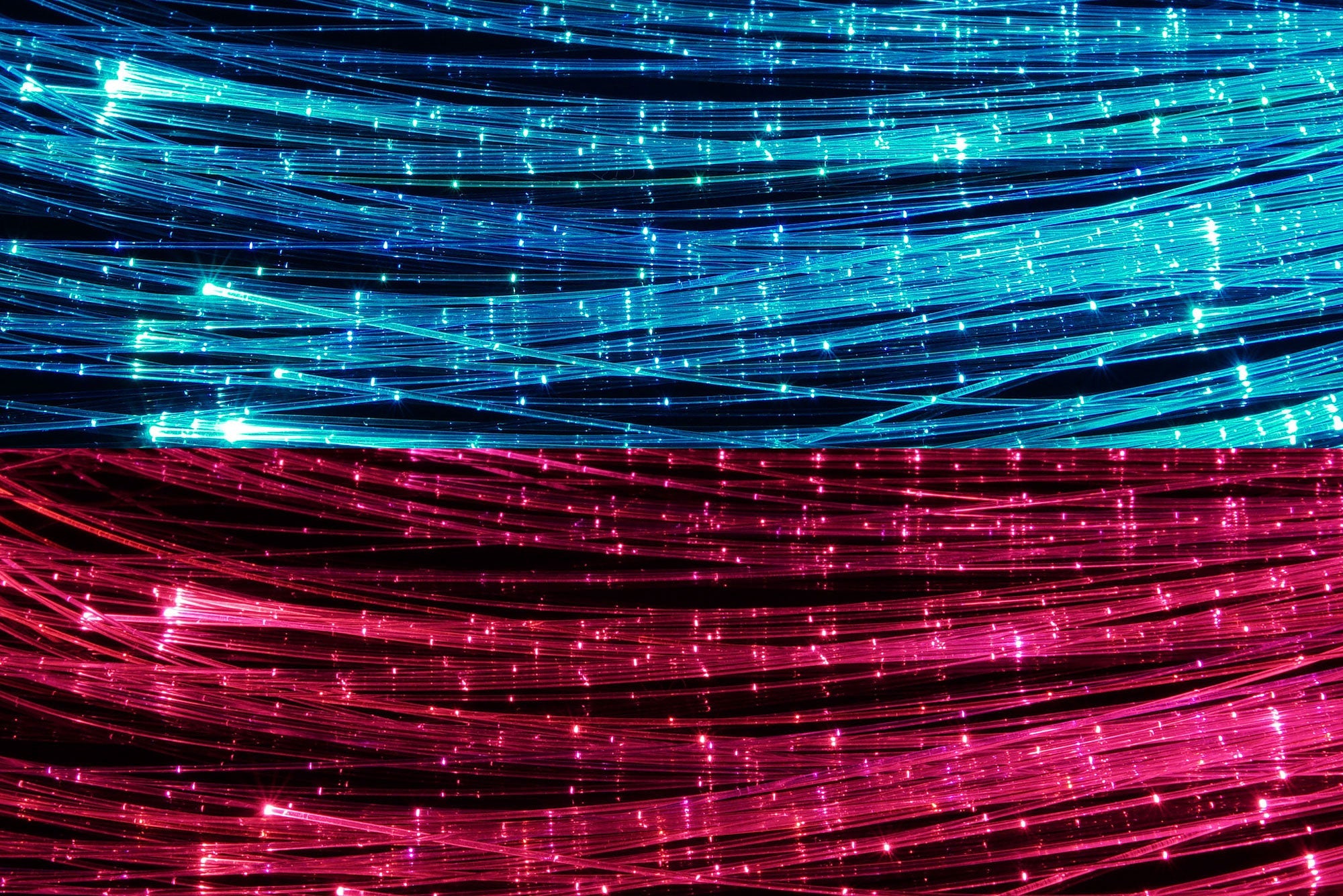 BITWHIP PACKAGE