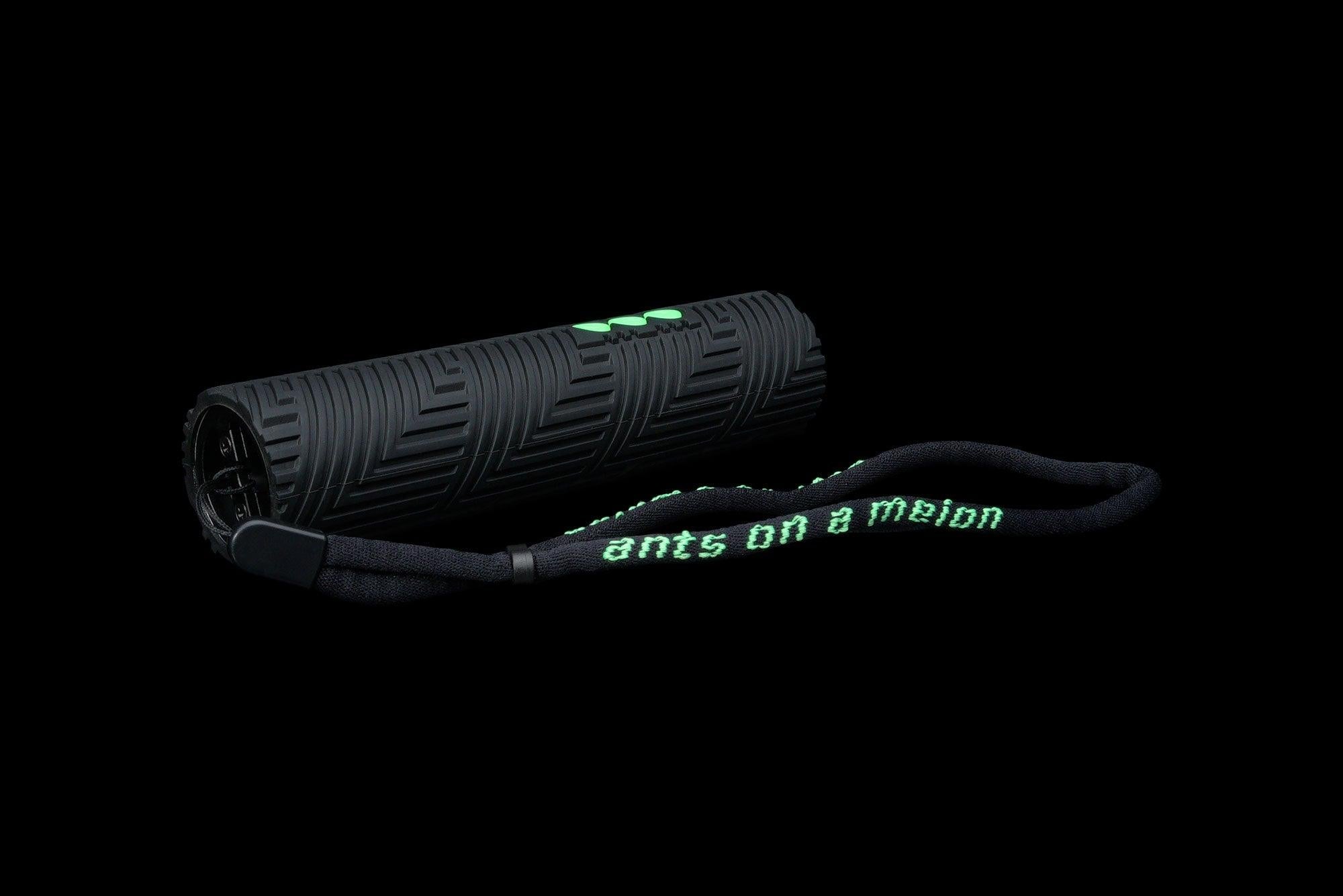RGB CRITTER 2.0 FLASHLIGHT - Ants on a Melon, Inc.